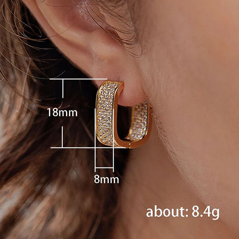 Paved CZ Hoop Earrings